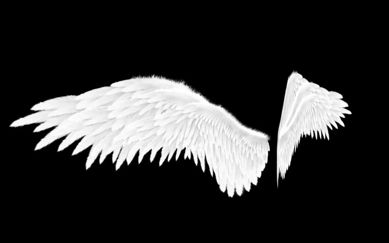 Белые Крылья. Ангельские Крылья. Крылья ангела для фотошопа. Крылья ангела с боку. Крылья на черном фоне