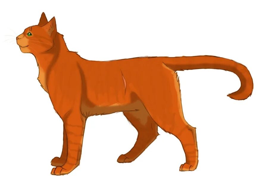 Стоящий кот рисунок. Коты воители огнезвёзд. коты воители огнезвезд. коты воители огнегрив. коты воители огнегрив и огнезвёзд.