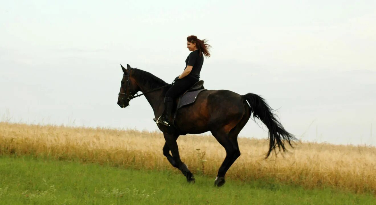 Women riding men. Брюнетка на лошади. Девушка верхом. Красивые девушки верхом. Брюнетка верхом на лошади.