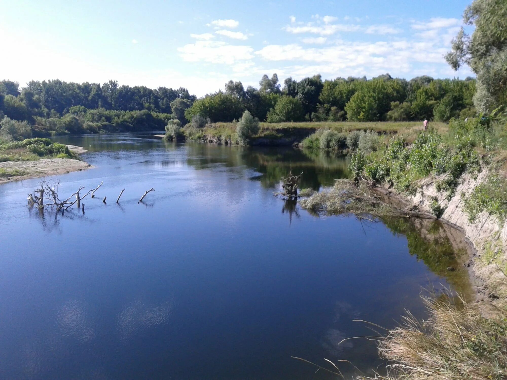 Река Сейм Курск. Курск природа река Сейм. Река свапа Курская. Сейм река Курской области Глушковского района.