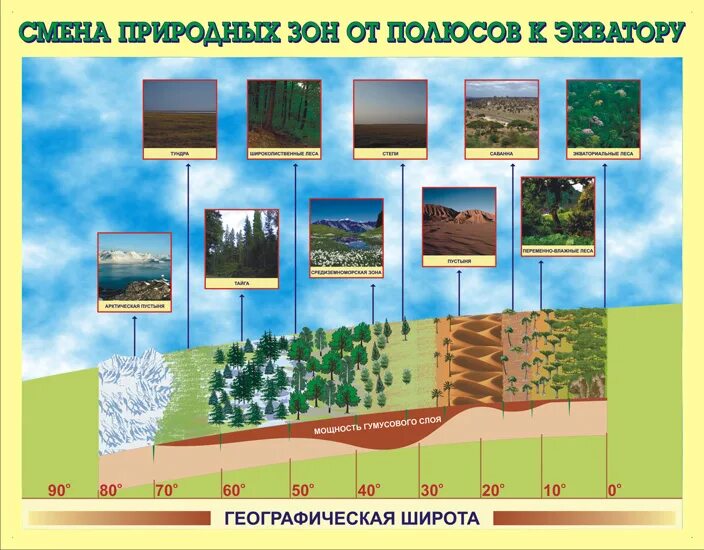 Примеры зональных комплексов