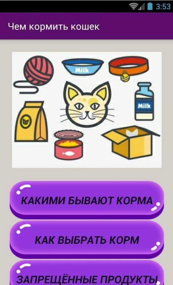Что давать кошкам есть. Чем кормить кошку. что полезно для кошек. правильный рацион для кошки. что можно давать кошкам.