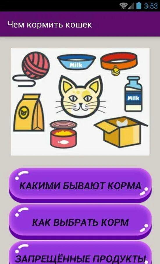 Что можно кошкам из еды. Чем кормить кошку. Что можно давать кошкам. Еда для котов в домашних. Чем нельзя кормить кота.