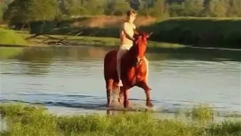 Красный конь песня слушать