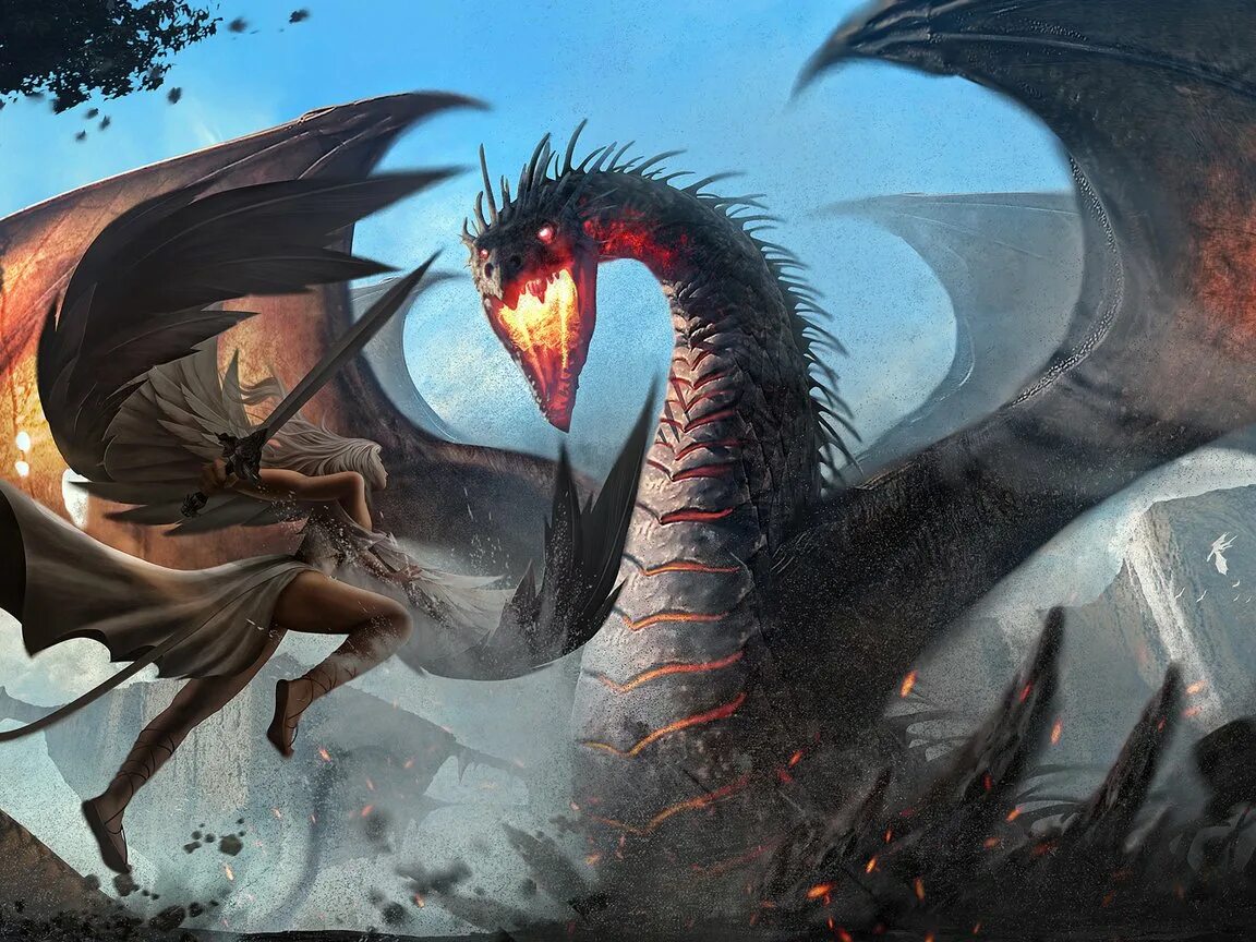 • «битва дракона и тигра» блюо. Всадник на грифоне. Битва с драконом. Сражение с драконом. Эймон драконий рыцарь.