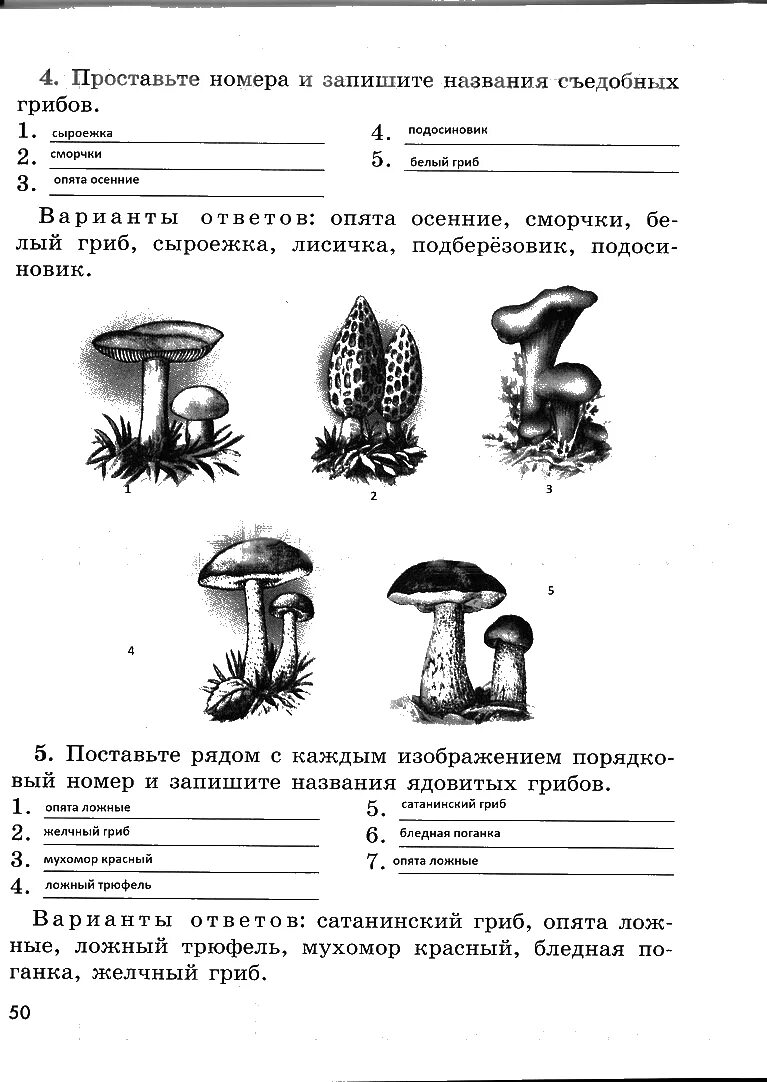 учебник по обж 6 класс хренников. гдз по обж 6 класс егорова учебник. обж 6 класс задания. тетрадь по обж 6 класс латчук ответы. обж 6 класс задание.