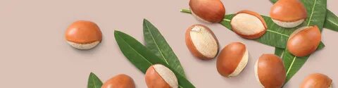 Butyrospermum parkii fruit oil