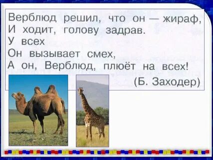 Жираф есть мягкий согласный звук