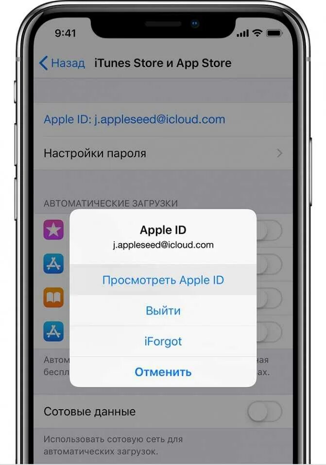 Как узнать свой айди на айфоне. Iphone apple id. как выглядит apple id. идентификатор apple id что это. что такое apple id на айфоне.