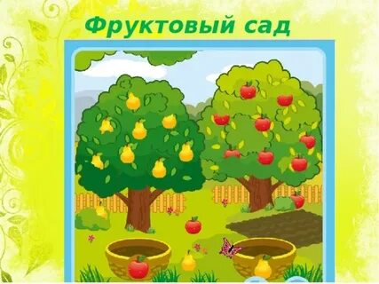 В школьном саду 40 фруктов
