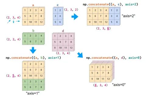 Numpy matrix