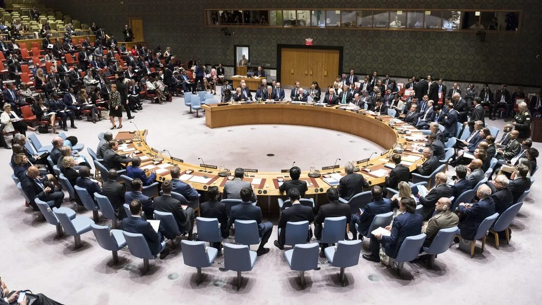 Оон 2010. Вето Совбез ООН. Реформа ООН. Право вето в Совете безопасности ООН. Реформа вето в Совете безопасности.