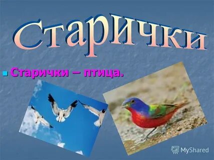 Дав птица