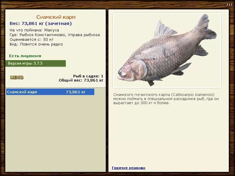 Русская рыбалка 3. Русская рыбалка 2 лабынкыр. Рыбхоз константиново русская рыбалка. Русская рыбалка 3 база рыбхоз красноперка. Русская рыбалка рыбхоз разрушенный разрушенный пирс.
