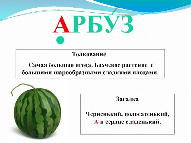 Арбуз однокоренные слова. Сообщение о арбузе. Интересные арбузы. Арбуз словарное слово. Арбуз ослиный огурец.
