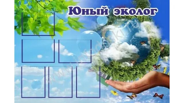 Марш юных экологов 2024. Стенд экология. Экологический стенд в школе. Стенд по экологии в школе. Стенд экология в детском саду.