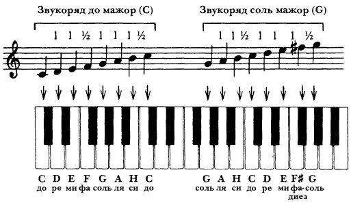 Можно научиться играть на пианино взрослому. Как научиться играть на пианино. Уроки на синтезаторе. Самоучитель фортепиано для начинающих. Как играть на пианино.