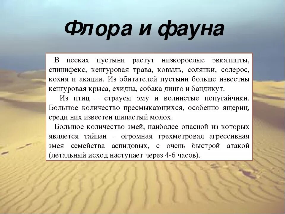 Пустыня краткое описание природной зоны