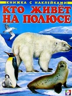 Северный полюс книги