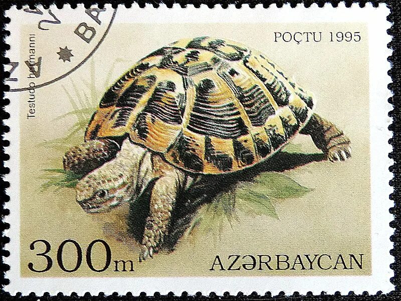 Марки черепахи. Почтовые марки черепахи. Красивые марки с черепахой. Почтовые марки Азербайджан фауна. Почтовые марки 1995 года