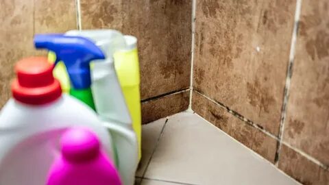 Как убрать плесень с герметика в ванной: простые, но проверенные средства