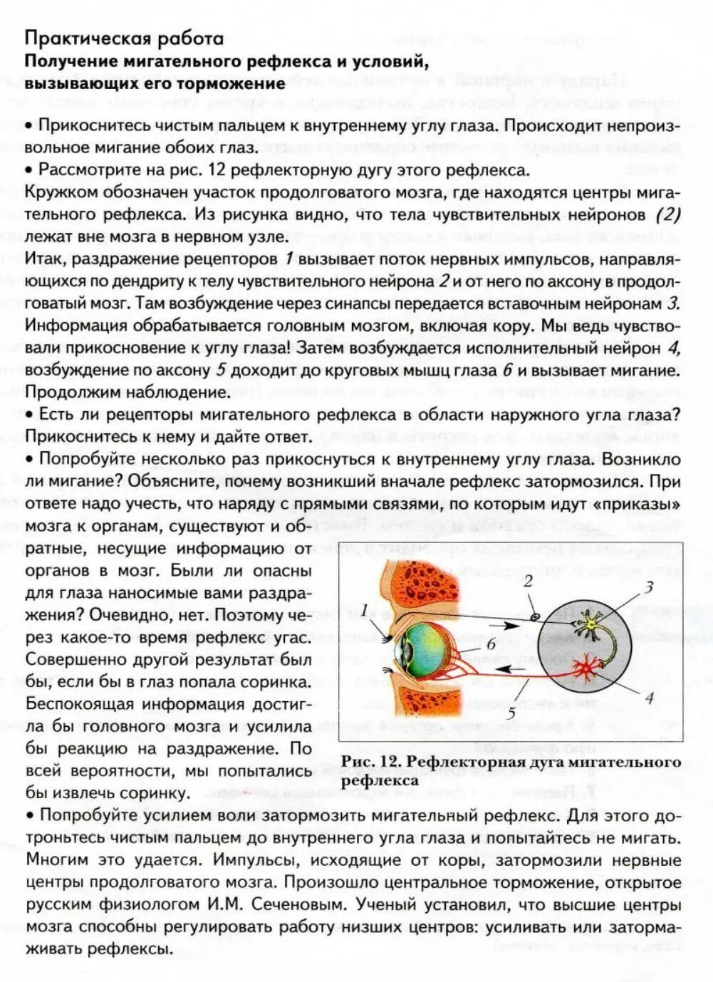 Лабораторная работа по биологии 8 мигательный рефлекс. Практическая работа по биологии мигательный рефлекс. Биология 8 класс практическая работа мигательного рефлекса. Мигательный рефлекс лабораторная работа.