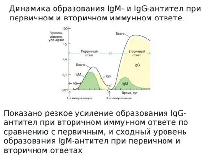 Динамика ответов