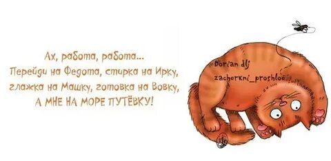Работа перейди на федота зарплата