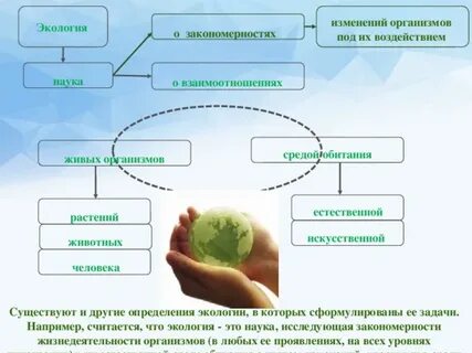 Экология это наука о взаимодействии егэ