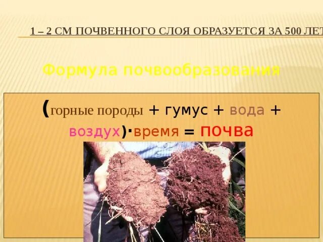 За какое время образуется 1 см почвы. Формула почвообразования. формула почвообразовани. формула почвы.