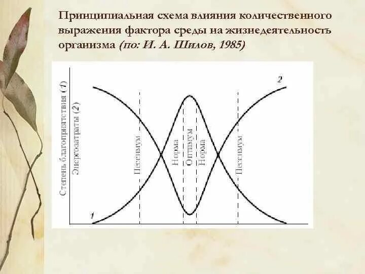 Схема действия фактора среды на организмы. Общие закономерности действия факторов среды на организм. Схема действия фактора среды на организмы. Схема действия фактора среды на организмы. Схема действия фактора среды на организм.