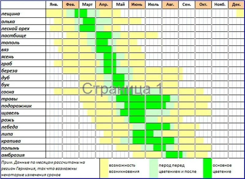 Можно ли в период цветения. Цветение растений по месяцам. График цветения по месяцам. Периоды цветения растений. График цветения деревьев.