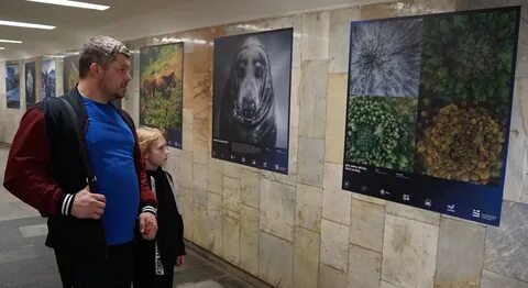 Выставка пауков ижевск мой порт 2024
