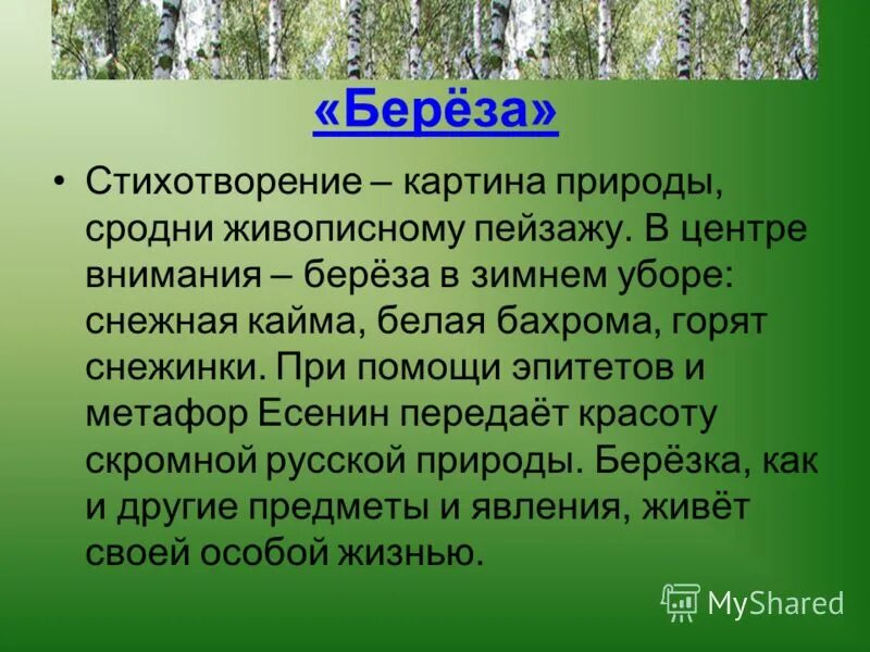 Что олицетворяет береза в стихотворении белая береза. Стихотворение береза. Анализ стихотворения береза. Анализ стихотворентябереза. Анализ стиха береза.