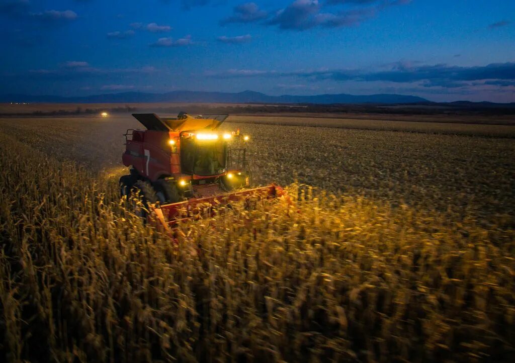 Сколько гектар вспашет 1 трактор за смену. Задача про поля. Казахстан поле. Уборка кукурузы. Математика 5 класс виленкин 1 часть номер 227.