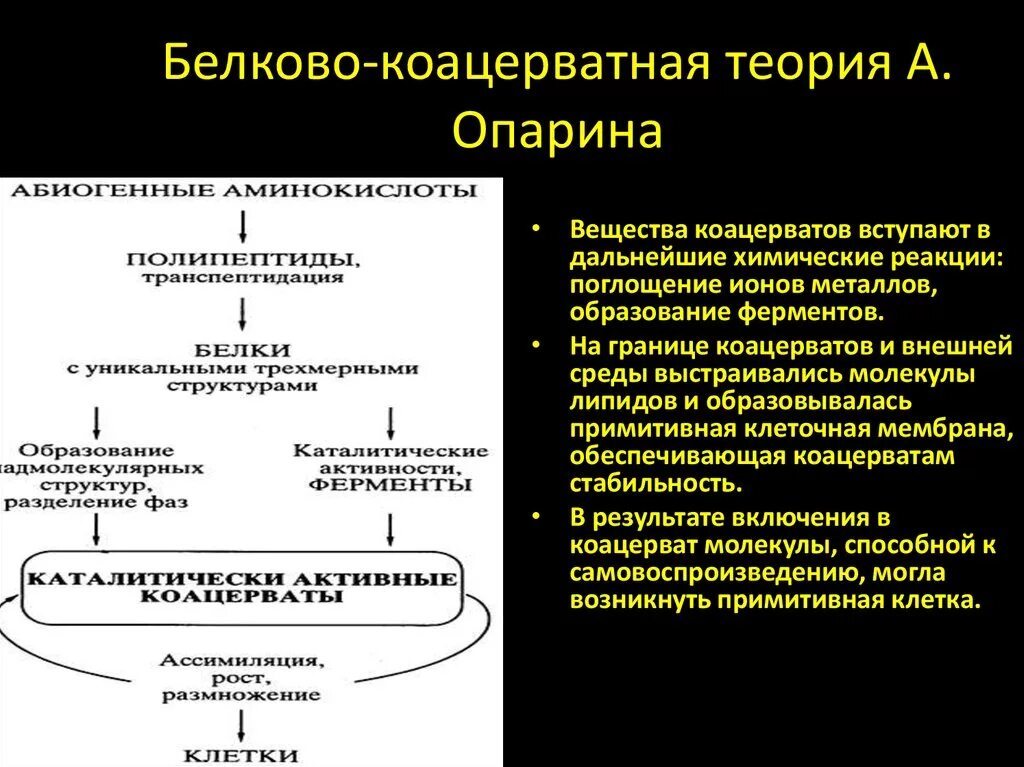 Этапы жизни по опарину. Коацерватная теория Опарина. Белково-коацерватная теория Опарина. Белково-коацерватная теория Опарина схема. Коацерватная теория Опарина заключается.