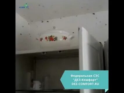 Сэс дез групп