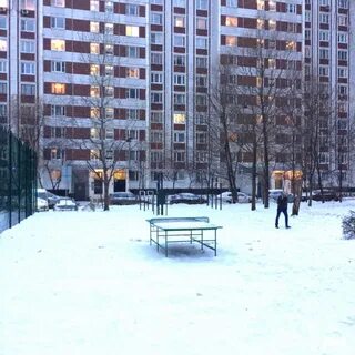 Новокосинская улица