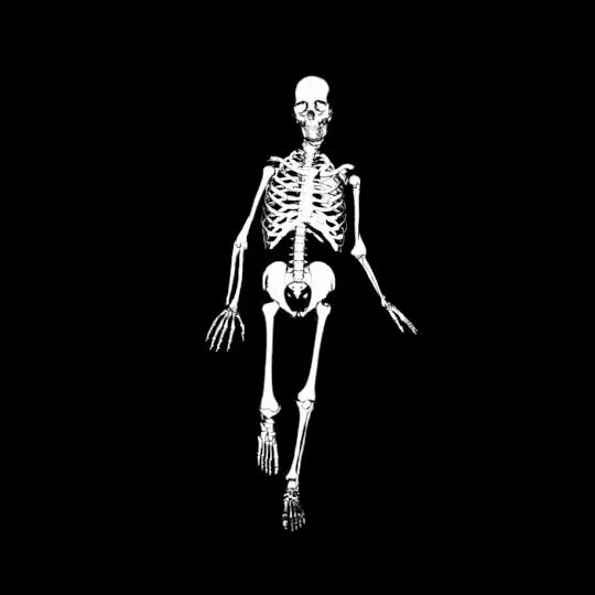Скелет анимация. Анимированный скелет. анимационные скелеты. скелет машет. скелет гиф.