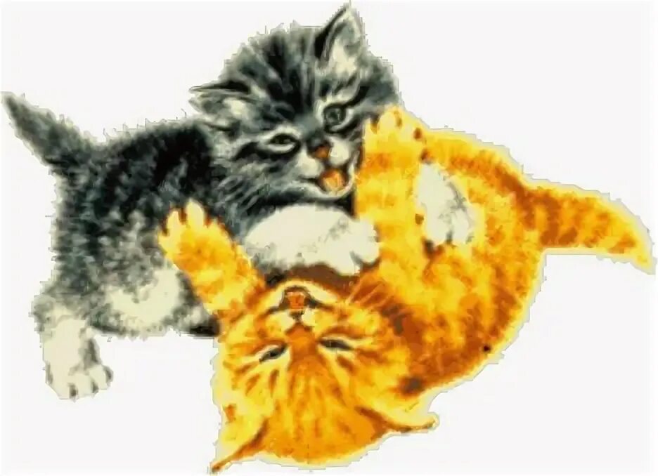 Анимированный котенок. Котенок анимация. котик анимация для детей. котенок анимация для детей. котенок анимация на прозрачном фоне.