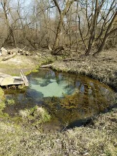 Царский источник