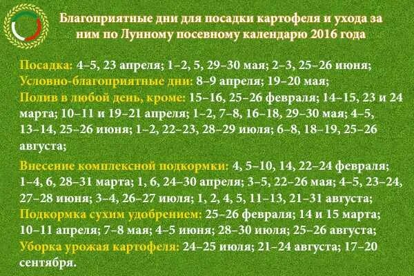 Хорошие дни в апреле 2024г посадка картофеля. Благоприятные дни для картошки. Благоприятные дни для посадки картофеля. Благоприятные дни для высадки картошки. Благоприятные дни для посадки картошки.