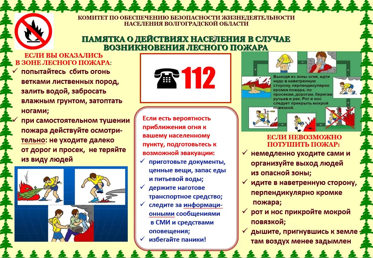 Памятка при обнаружении лесного пожара обж. Памятка. памятка о пожаре.