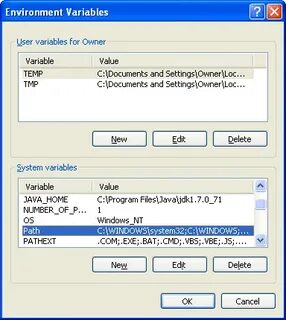 Process environment variables