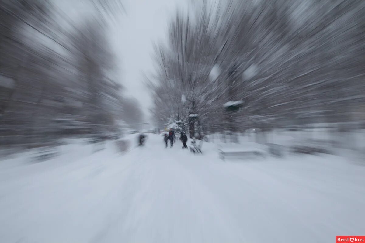 Снегопад фон. Зимний лес. Звук идущего снега. Звук идущего снега. Звук идущего снега.