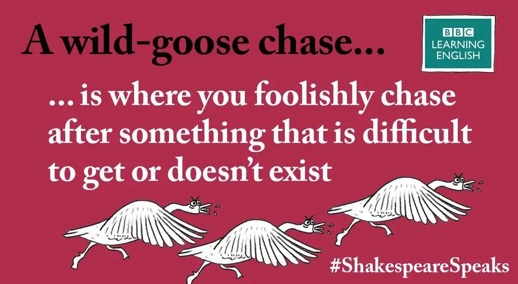 Chase meaning. Wild goose chase. wild goose chase идиома. to chase the goose. wild goose chase перевод идиомы.