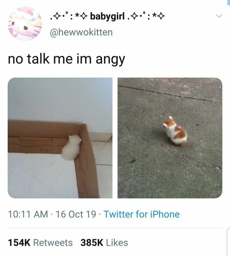 Can i talk to you