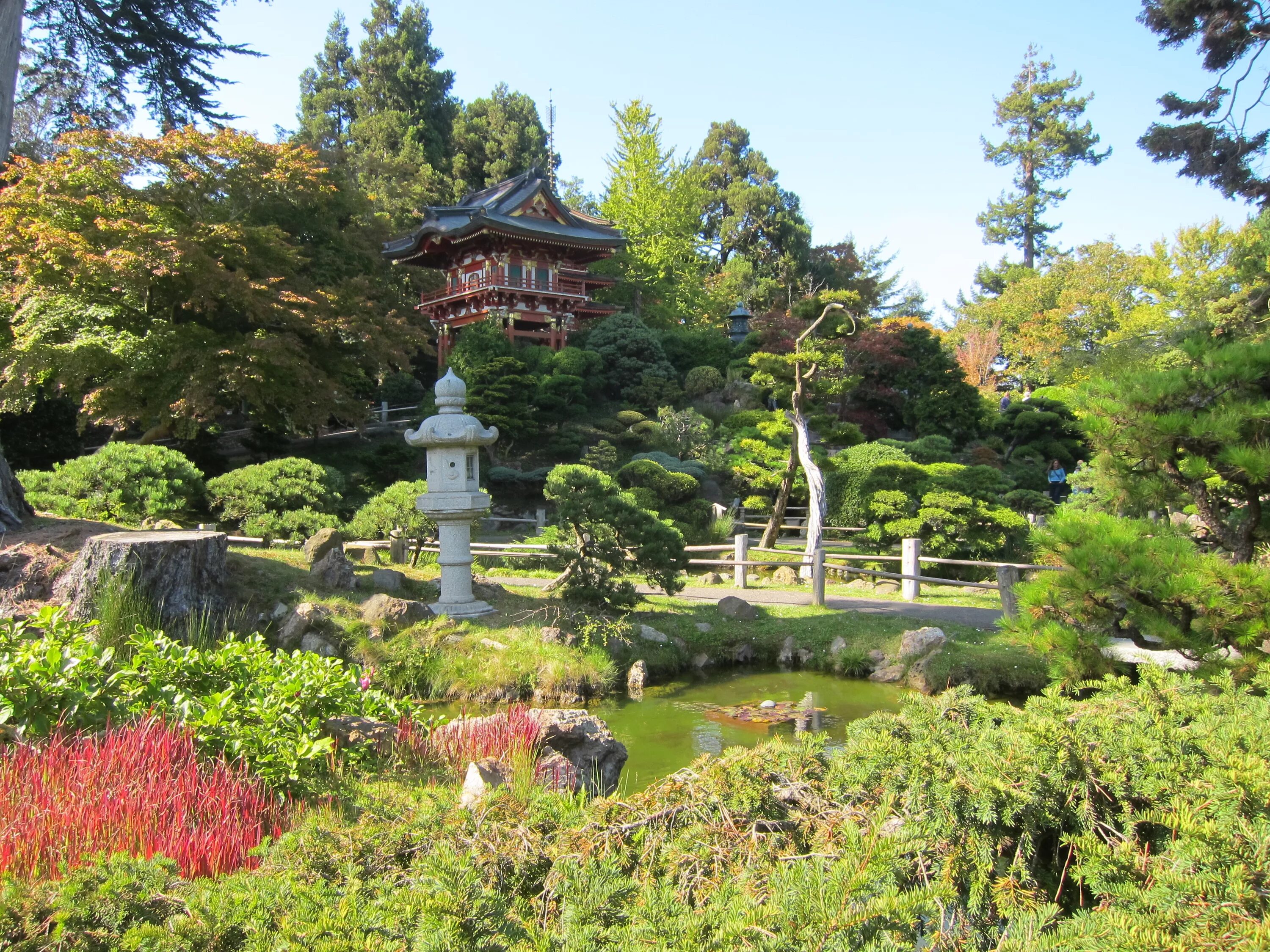 Чайная церемония в японском саду. Японский чайный сад в Сан-Франциско. Чайный сад Тянива в Японии. Чайный сад в Сан Франциско. Сад – Тянива в Японии чайная церемония.