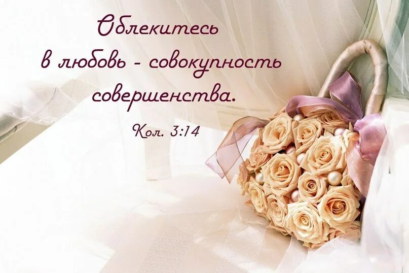 Любовь совокупность совершенства. Более же всего облекитесь в любовь. Любовь есть совокупность совершенства библия. Колоссянам 3 14. Любовь есть совокупность совершенства.