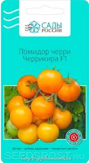 Помидор черри отзывы